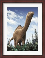 Framed Demandasaurus
