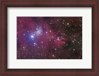 Framed Cone Nebula