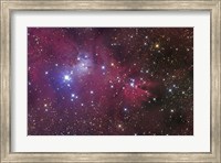 Framed Cone Nebula