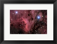 Framed Pelican Nebula