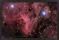 Framed Pelican Nebula