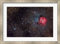 Framed Trifid Nebula