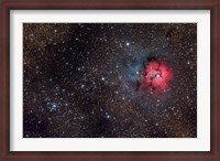 Framed Trifid Nebula