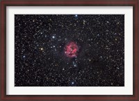 Framed Cocoon Nebula