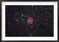 Framed Cocoon Nebula