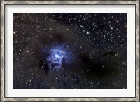 Framed Iris Nebula