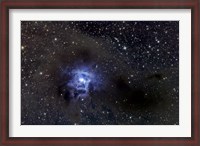 Framed Iris Nebula