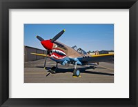 Framed Curtiss P-40E Warhawk