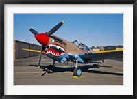 Framed Curtiss P-40E Warhawk