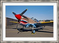 Framed Curtiss P-40E Warhawk