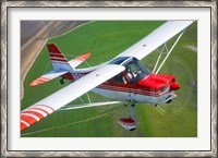 Framed Champion Aircraft Citabria