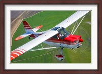 Framed Champion Aircraft Citabria