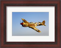 Framed P-40N Warhawk