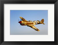 Framed P-40N Warhawk