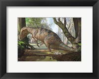 Framed Edmarka Rex