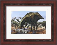 Framed Shantungosaurus Dinosaurs