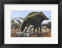 Framed Shantungosaurus Dinosaurs