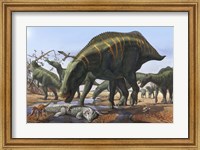 Framed Shantungosaurus Dinosaurs