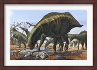 Framed Shantungosaurus Dinosaurs