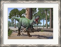 Framed Megaraptor