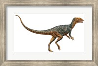 Framed Gojirasaurus