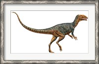 Framed Gojirasaurus