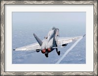 Framed F/A-18 Hornet