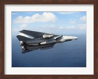 Framed F-14D Tomcat