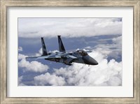 Framed F-15C Aggressor