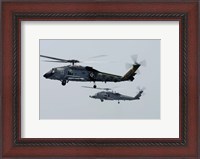 Framed SH-60F and HH-60H Seahawk