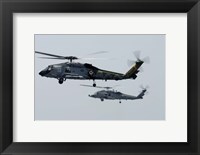 Framed SH-60F and HH-60H Seahawk