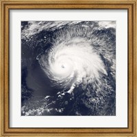 Framed Hurricane Gordon