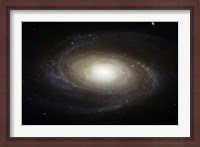 Framed Spiral Galaxy M81