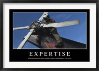 Framed Expertise: Inspirational Quote and Motivational Poster