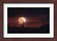 Framed Solar Eclipse over Africa