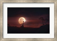 Framed Solar Eclipse over Africa