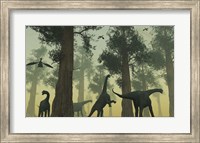 Framed Camarasaurus Dinosaurs