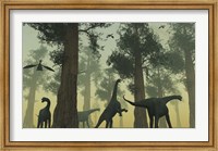 Framed Camarasaurus Dinosaurs