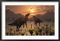 Framed T Rex and Parasaurolophus Duckbill Dinosaurs