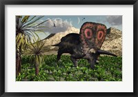 Framed Torosaurus Dinosaur