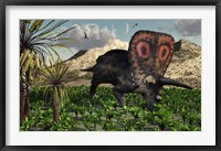 Framed Torosaurus Dinosaur