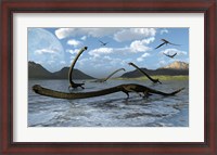 Framed Illustration of Tanystropheus Reptiles