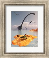 Framed Sauropod Omeisaurs and Flying Eudimorphodons