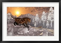 Framed Sabre Tooth Tigers in Winter