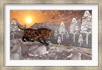 Framed Sabre Tooth Tigers in Winter