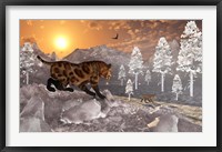 Framed Sabre Tooth Tigers in Winter