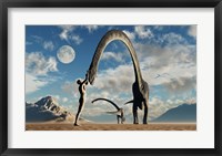 Framed Adam Greeting Omeisaurus Sauropod Dinosaurs