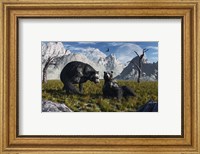 Framed Arctodus Bears