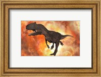 Framed Carnivorous Allosaurus