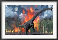 Framed Diplodocus Sauropod Dinosaur